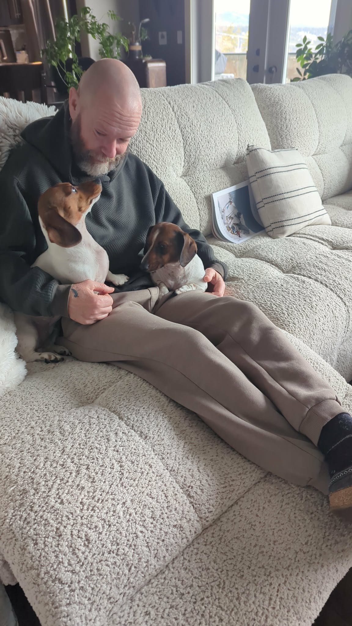 Pet sitting photo